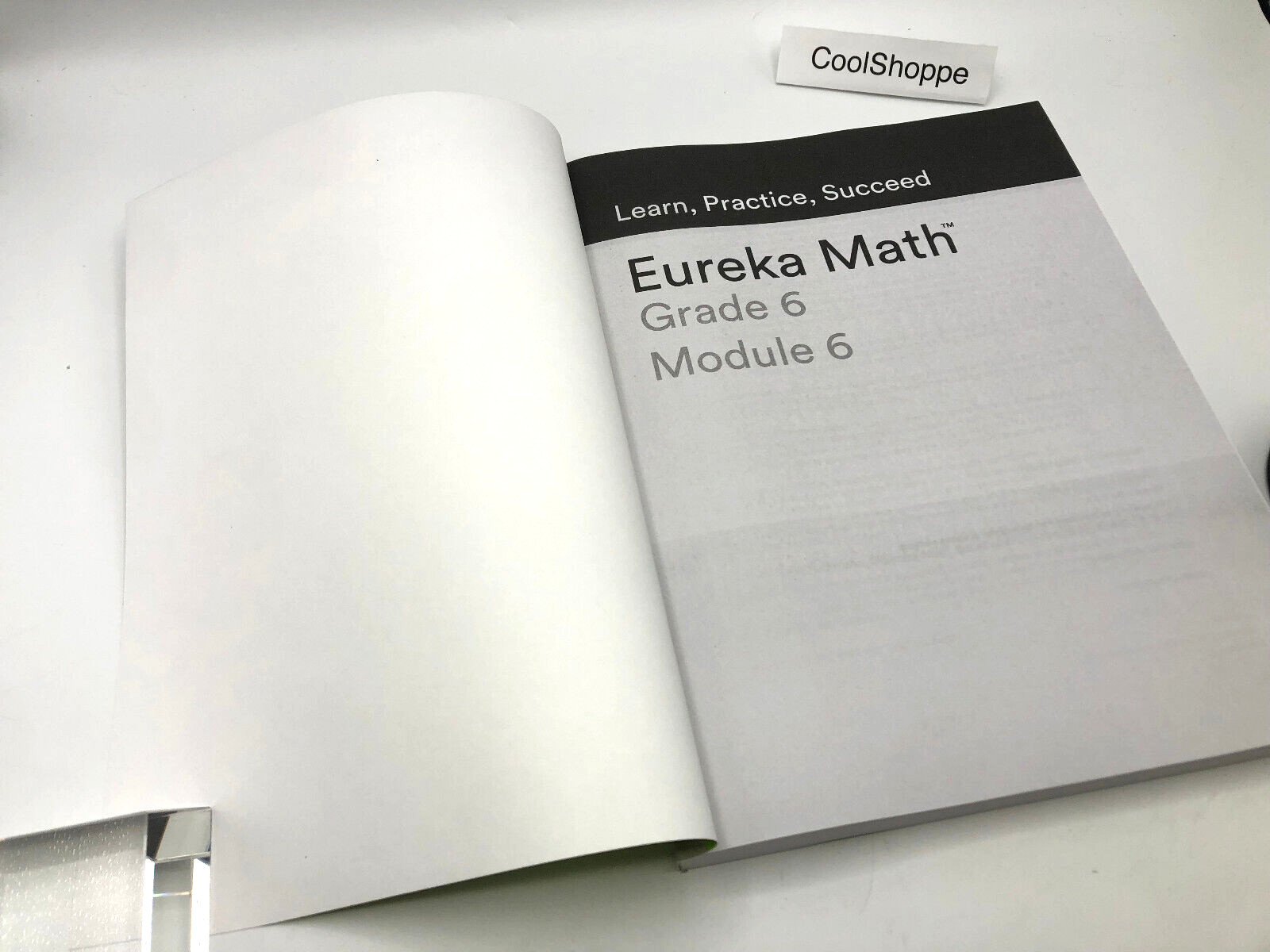 Eureka math Grade 6 Module 6 LEARN PRACTICE SUCCEED NEW STUDENT WORKBOOK