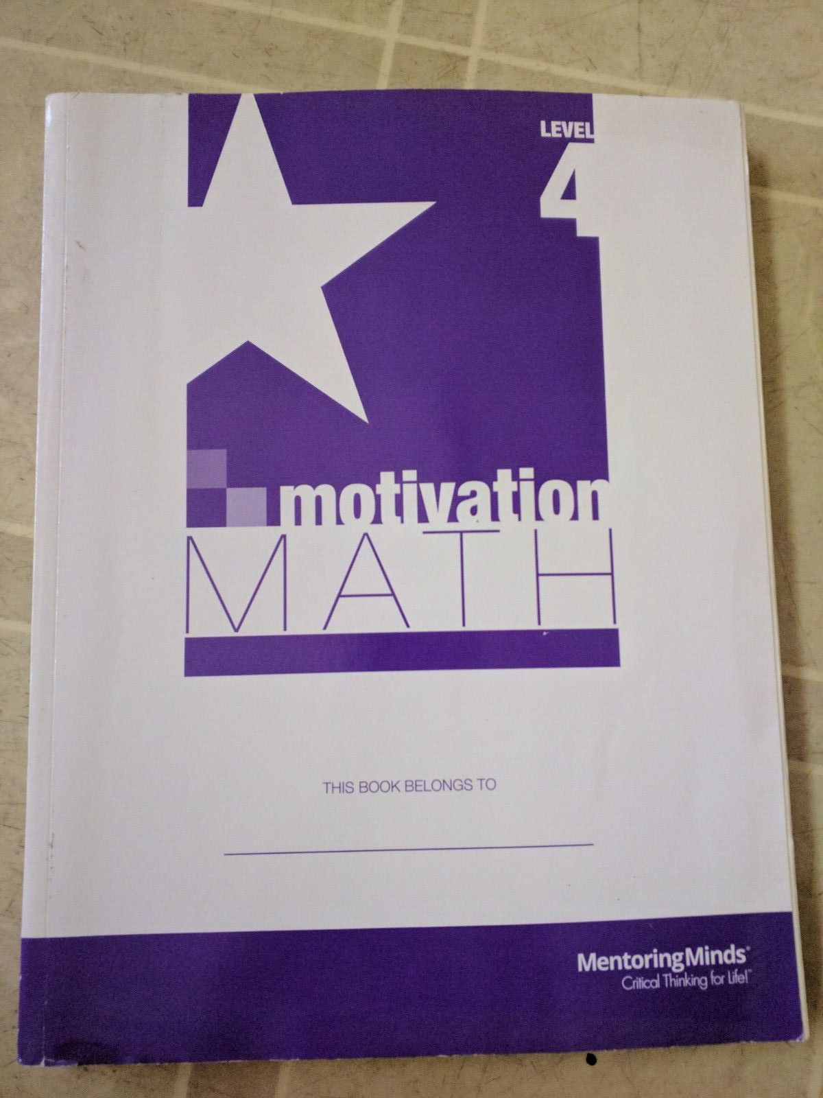 Motivation Math level 4 mentoring Minds