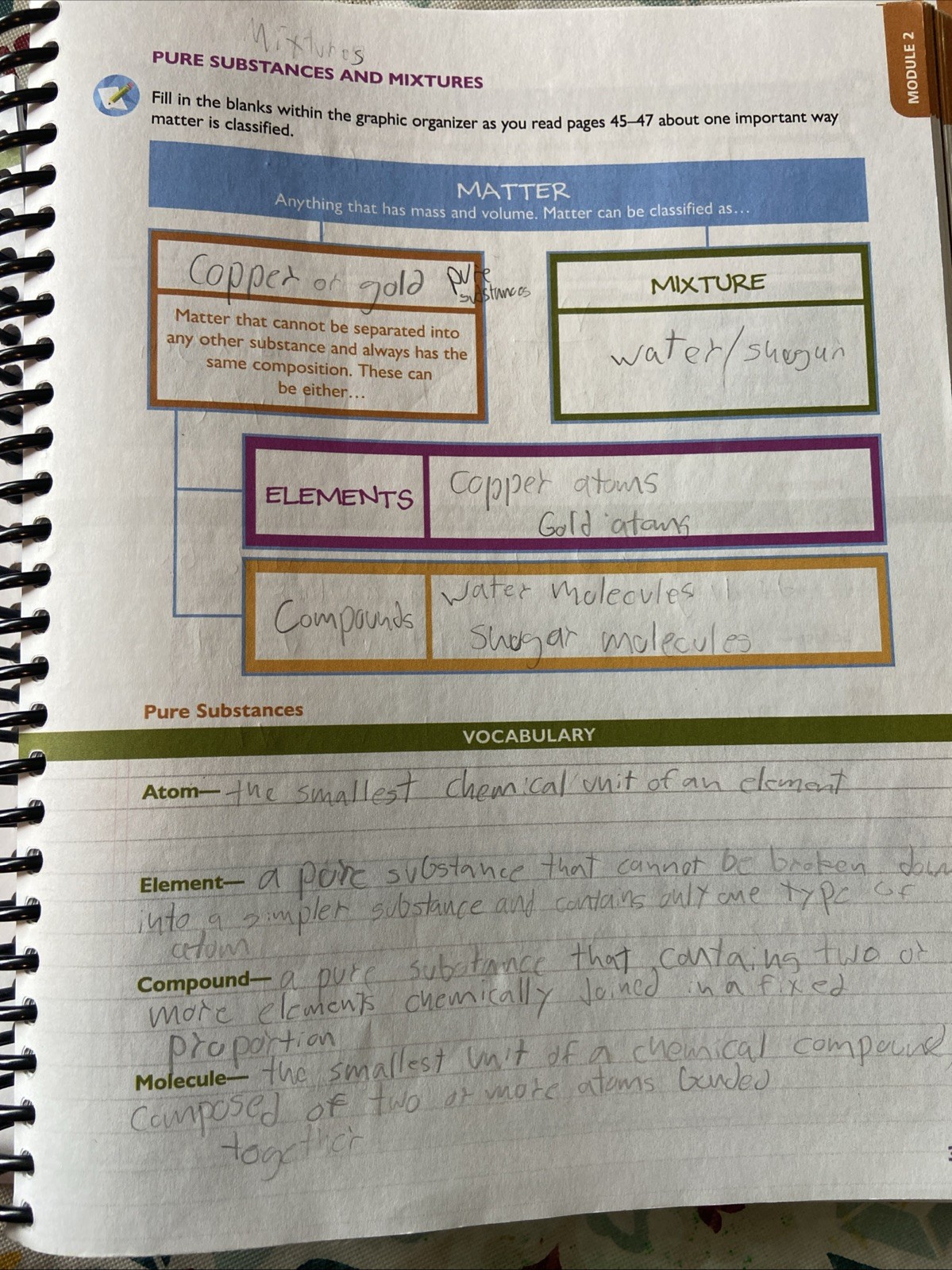 Apologia Physical Science (4th edition) Student Workbook