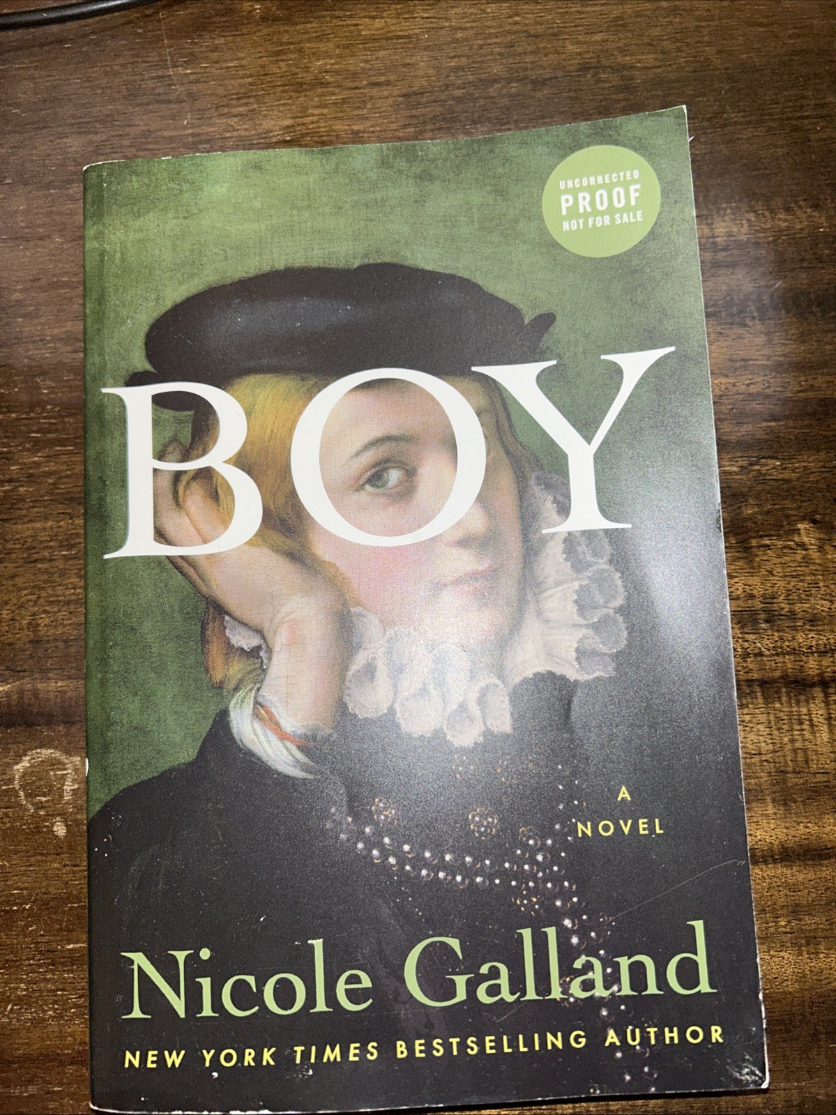 Boy: A Novel by Nicole Galland. Autographed. Soft Cover