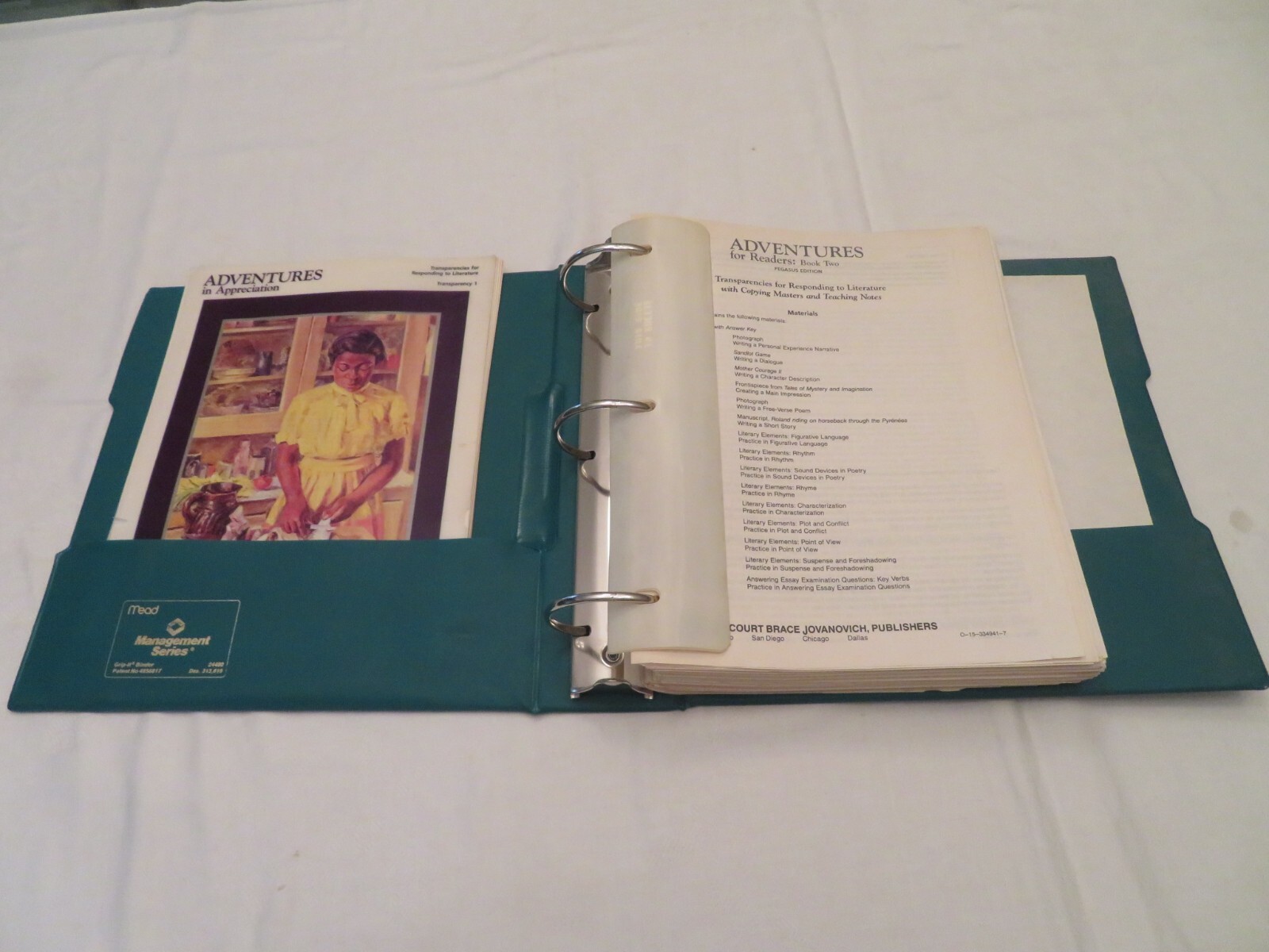 ADVENTURES for Readers Book 2 Pegasus Edition Teaching Notes TRANSPARENCIES