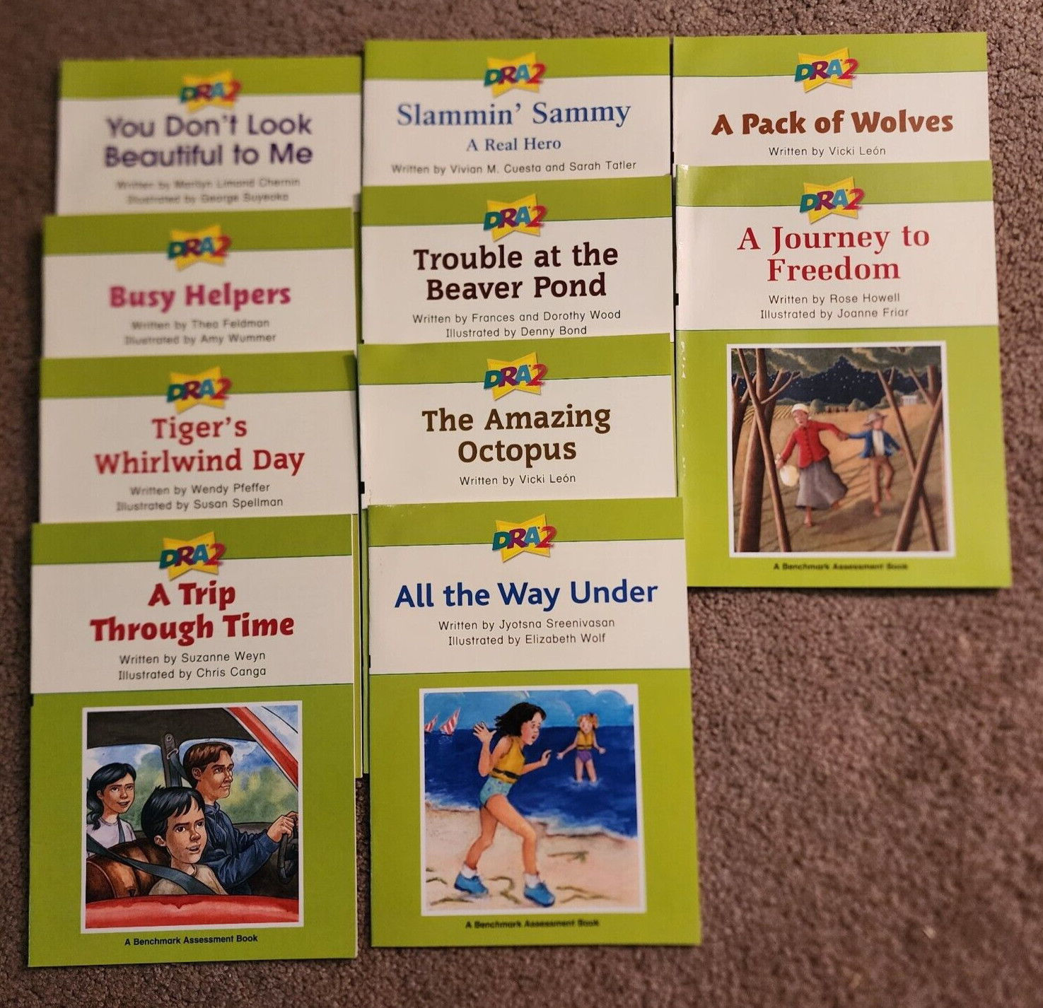 Pearson DRA2 Developmental Reading Assessment Grade 4 -5 Level 38-40 Lot of 10