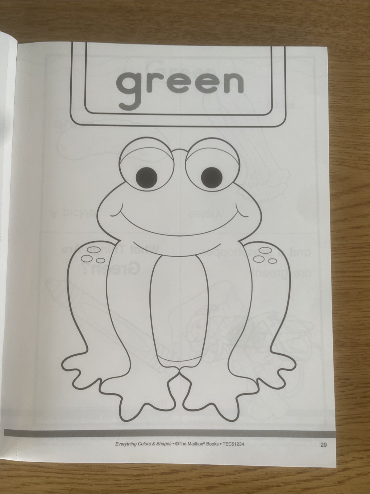 Everything Colors & Shapes (PreK-K)