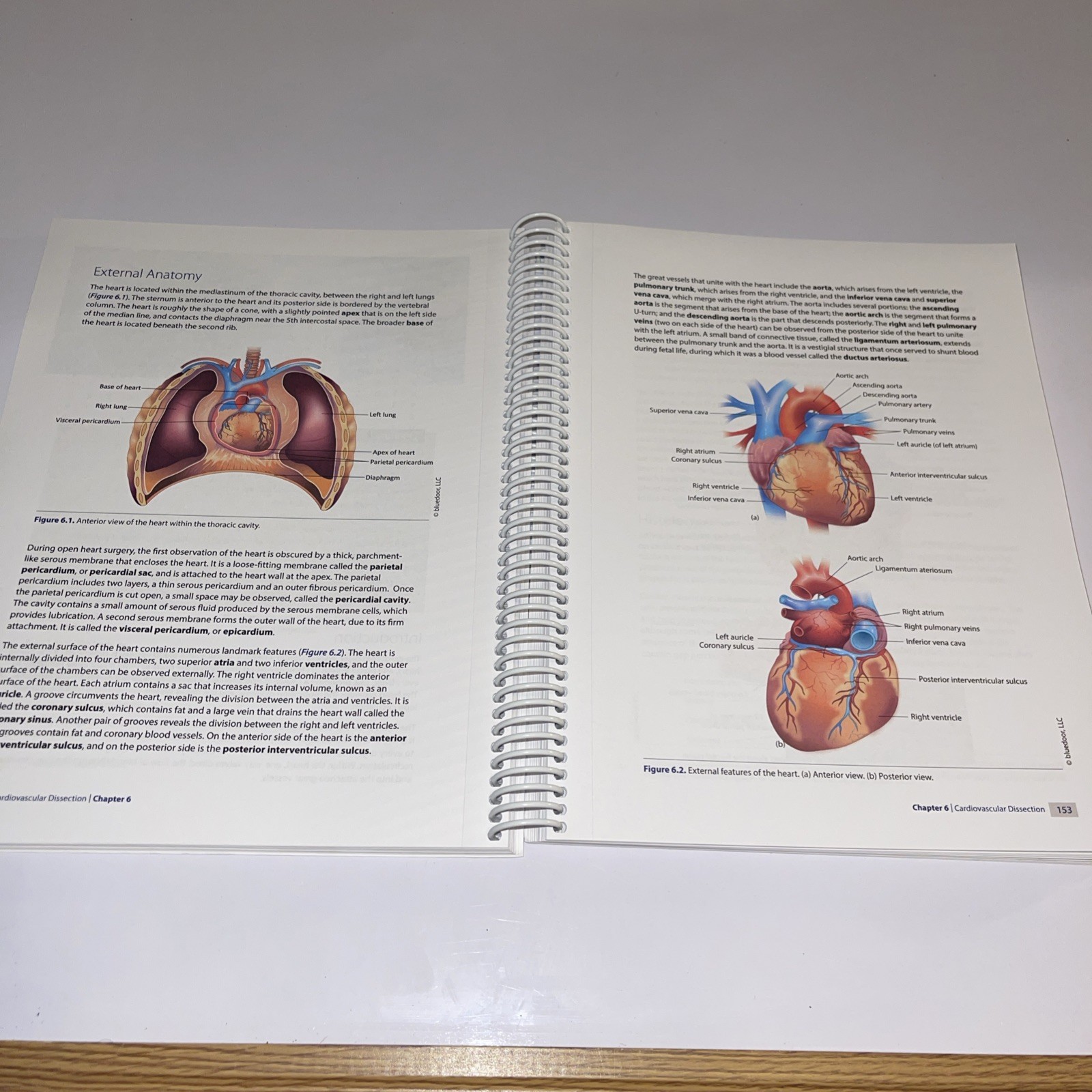 NEW Human Physiology Experimental Concepts, And Clinical Applications Dow Worley