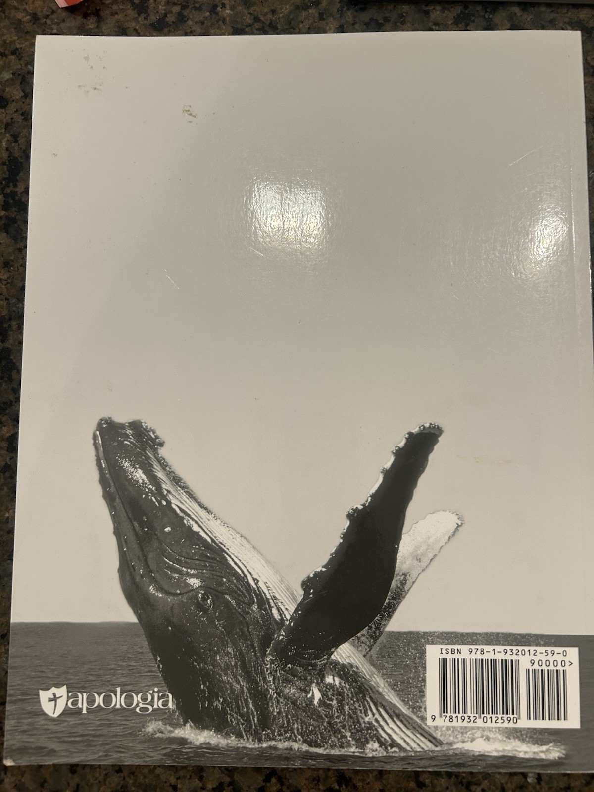 Apologia Solutions & Tests for Exploring Creation with Marine Biology