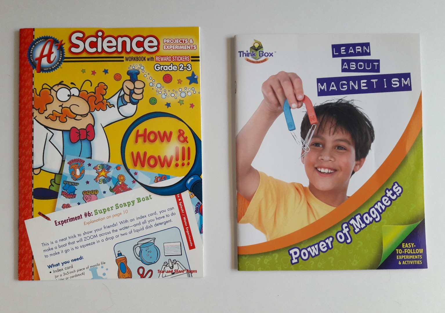 Science Projects & Experiments Workbook & Learn About Magnetism Activity Book
