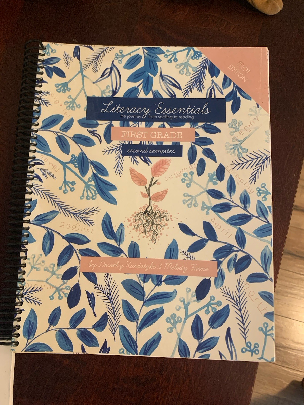 Literacy Essentials First Grade Pilot Edition Spiral Bound Study Guide 2017