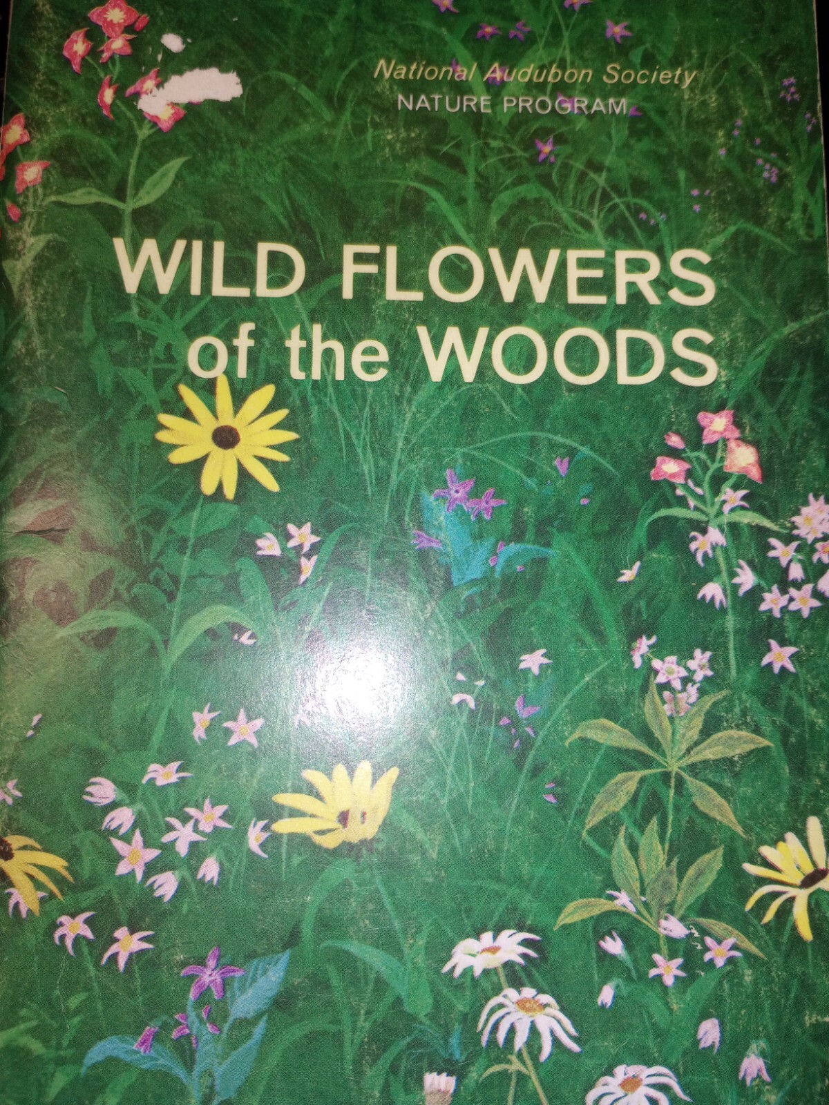 Audubon Soc 6-9 home Grade Science Program WILD FLOWERS OF THE WOODS 1966 G2