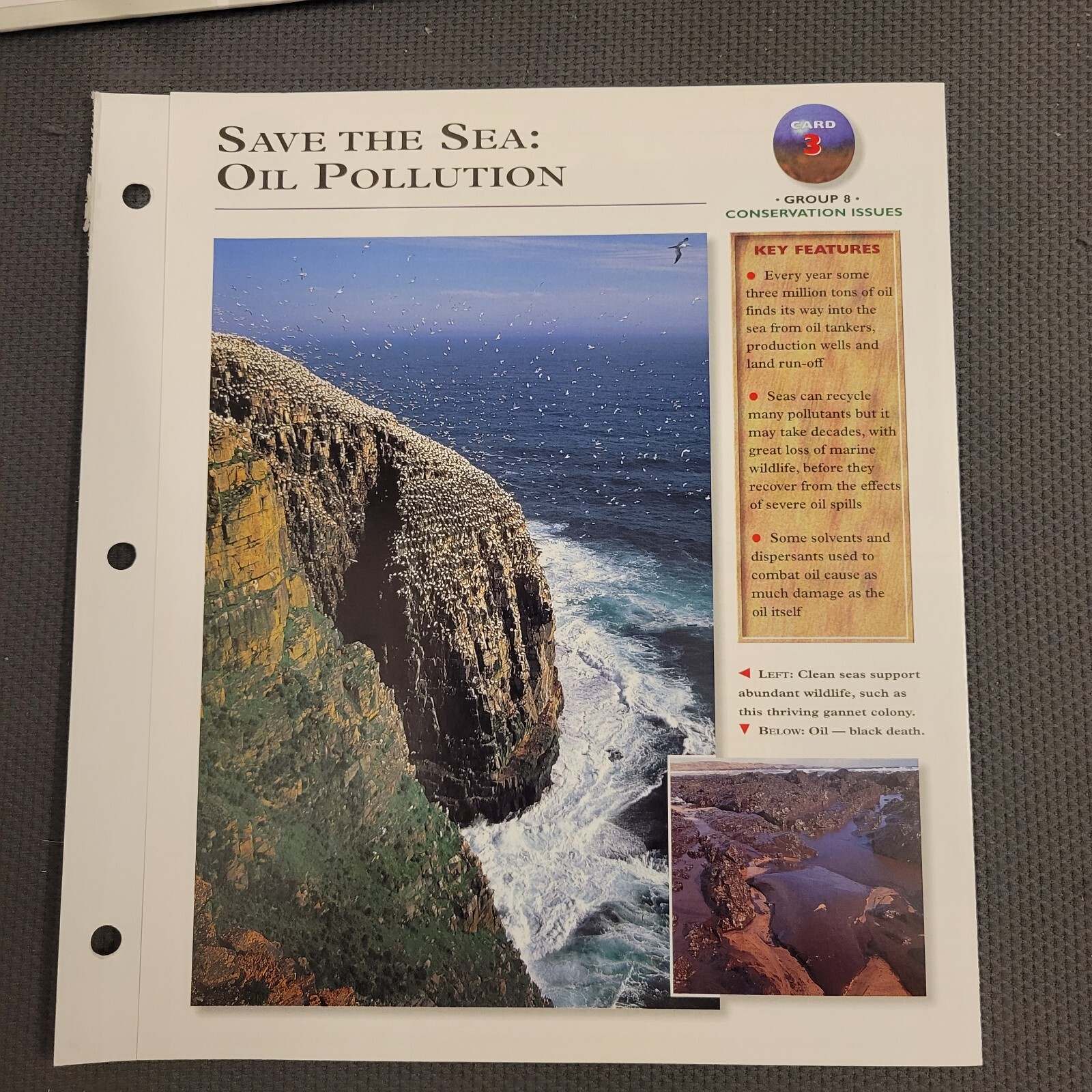 Wildlife Explorer Card 3 Group 8 Conservation Issues Save The Sea: Oil Pollution