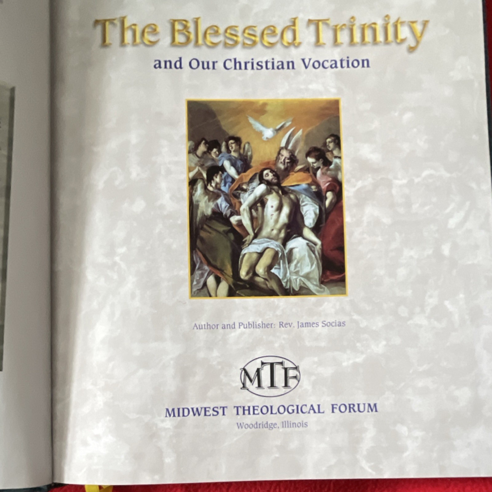 The Blessed Trinity Study Guide Rev. James Socias Midwest Theological Forum Did…
