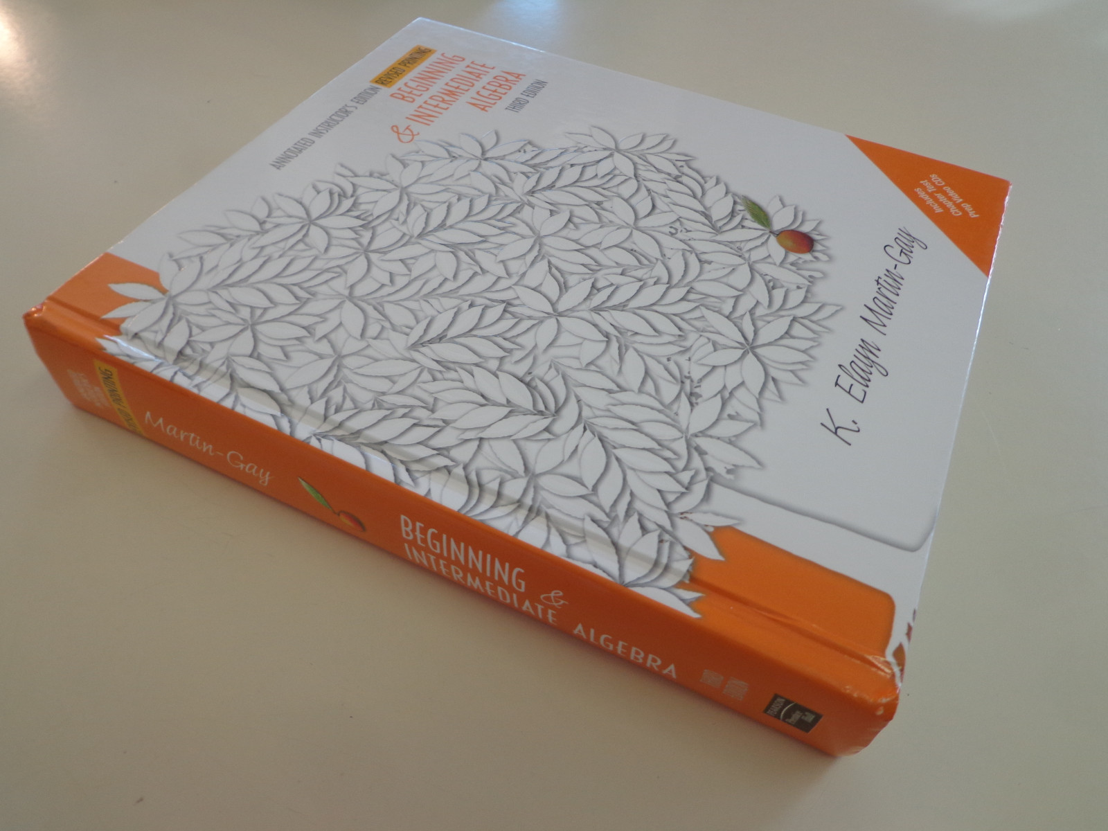 Annotated Instructors Edition Beginning & Intermediate Algebra 9780131498952