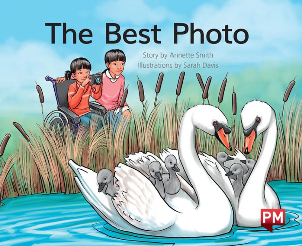 The Best Photo 1st Edition by Annette Smith (English) Paperback Book