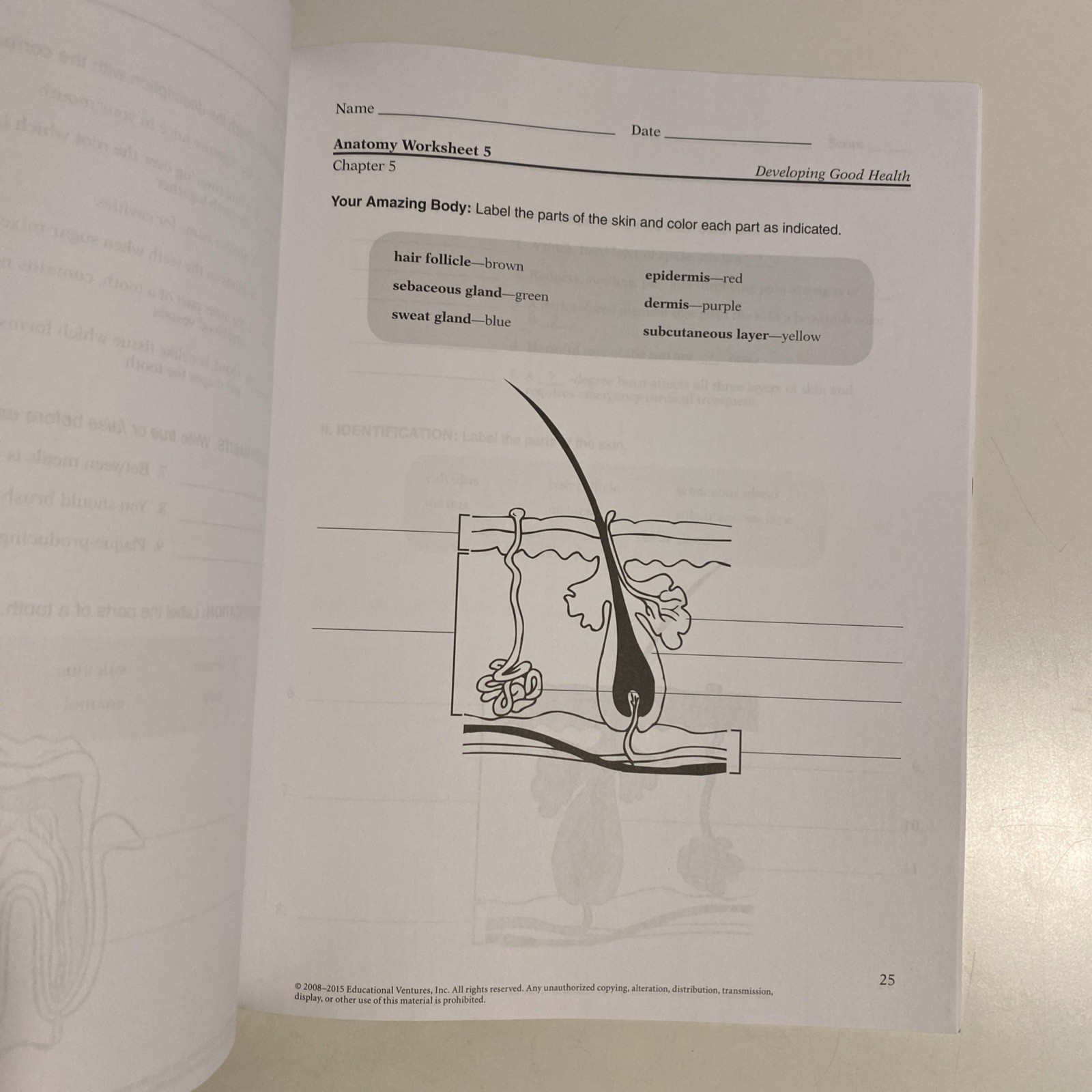 Abeka 4 Developing Good Health 3rd Ed. Student Quizzes, Tests, & Worksheets