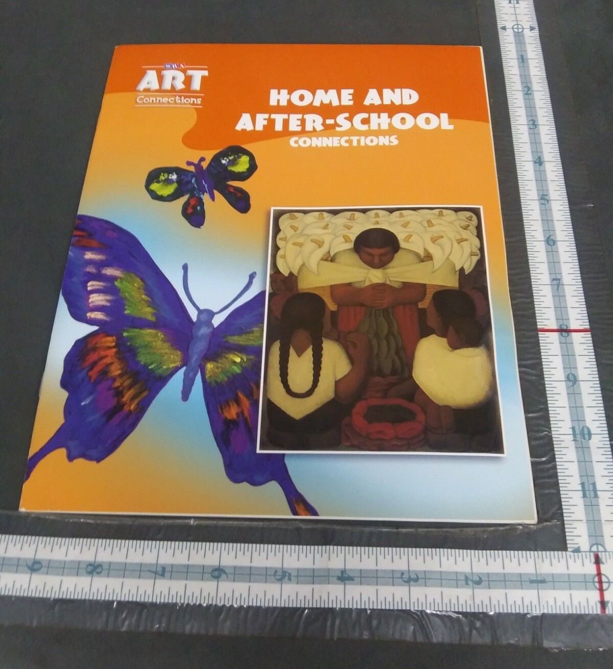 SRA ART CONNECTIONS HOME AND AFTER SCHOOL CONNECTIONS