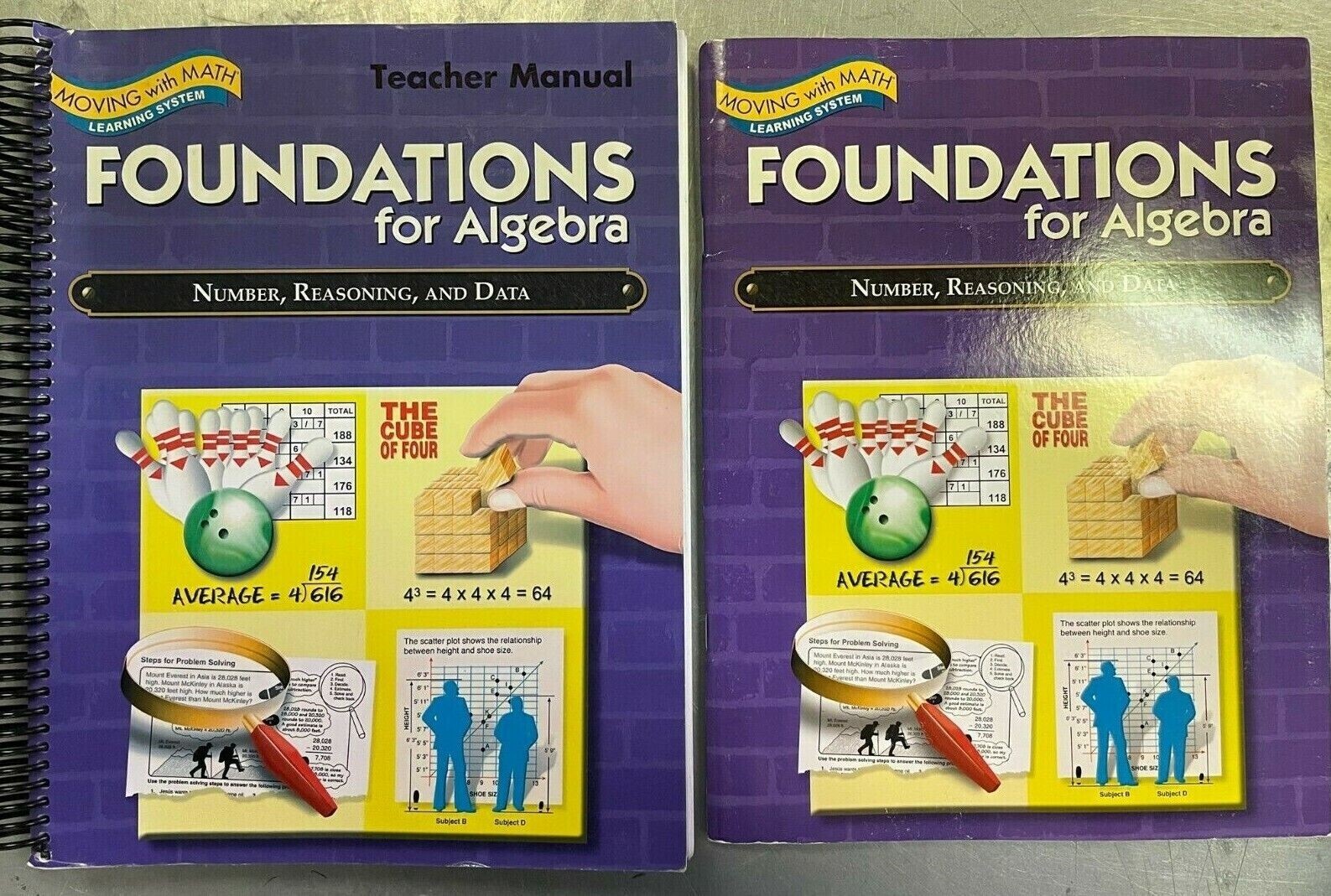 Foundations for Algebra-Number, Reasoning & Data Gr 7-8+,Teacher Man &Student Bk