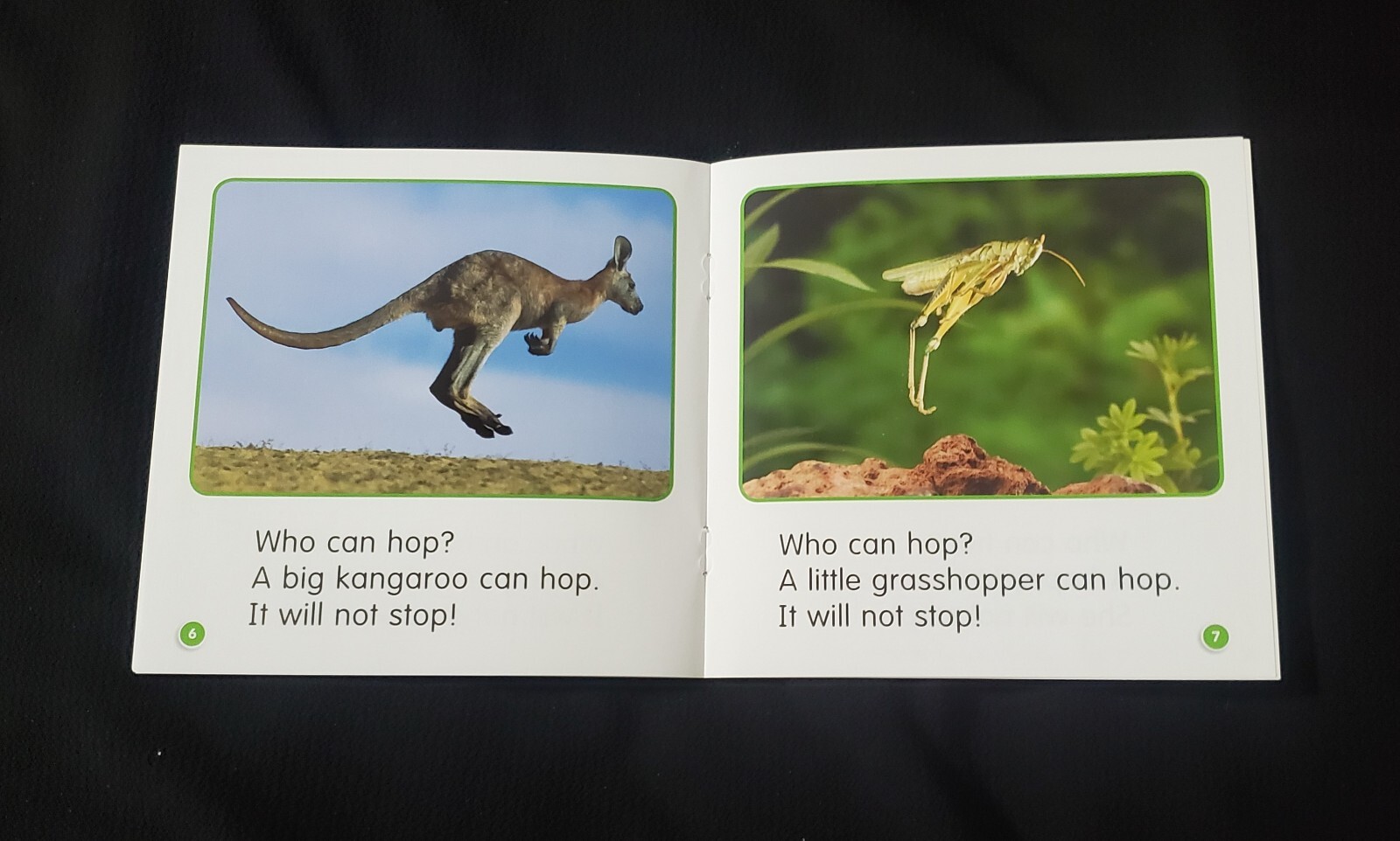 Guided Science Readers Level C Fun Nonfiction Books beginning homeschool class