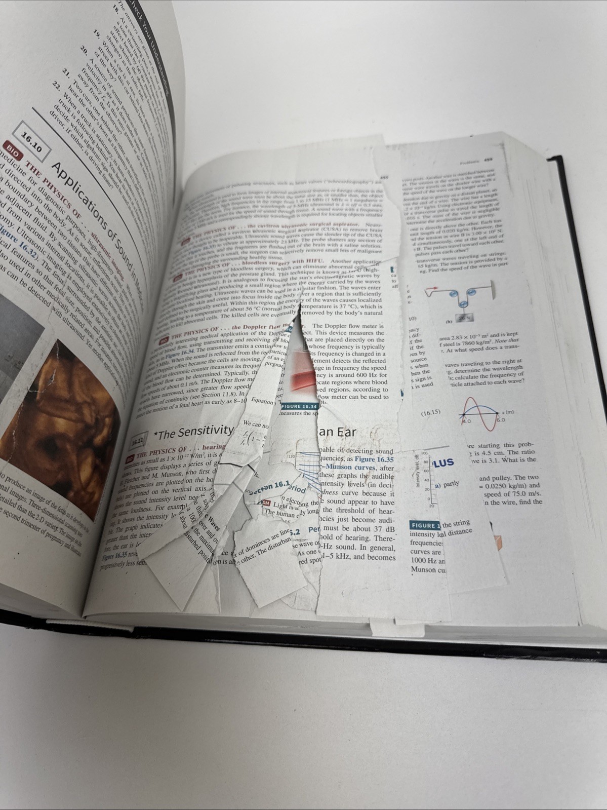 Cutnell & Johnson Physics 11th edition