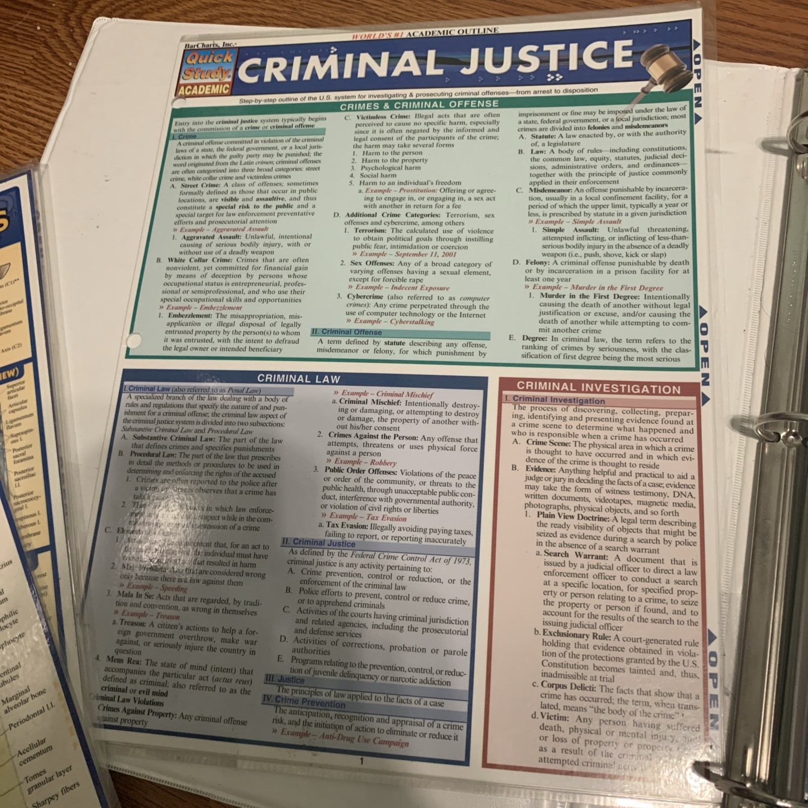 Quick Study Academic Various Charts