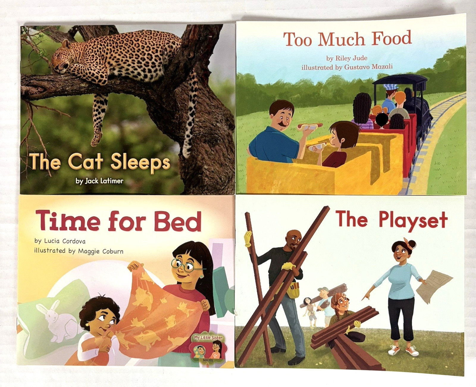 Kindergarten Readers Multi-Level Reading Library #2 – 20 Homeschool Books