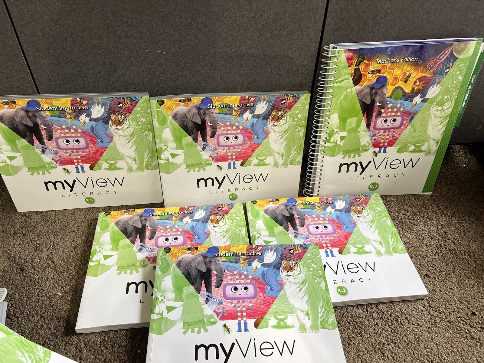 My View Literacy 6 Textbook Lot Teacher Ed. 3 K.1 K.2 K.3 K.4 K.5 student Book