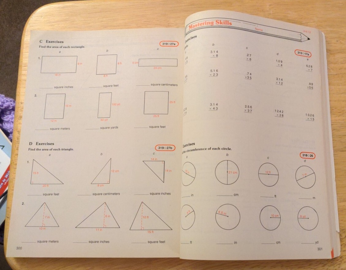 Mastering Essential Mathematics Skills by Itzkowitz Laidlaw Bro. Pub 1st Ed 1980