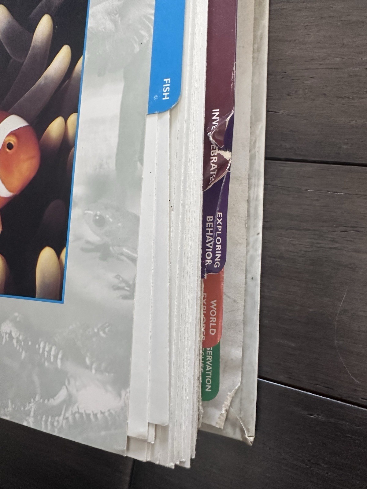 Wildlife Explorer Binder Groups 1-8 — 600+ Cards & Tabs Educational Homeschool