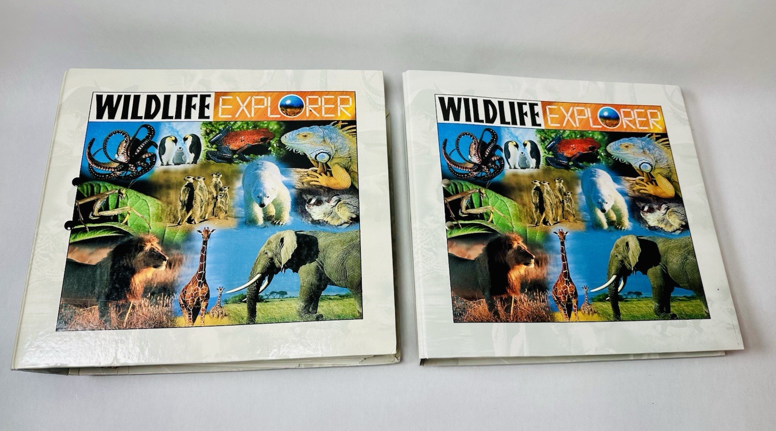 Wildlife Explorer Binder Groups 1-8 — Cards & Tabs Educational Homeschool
