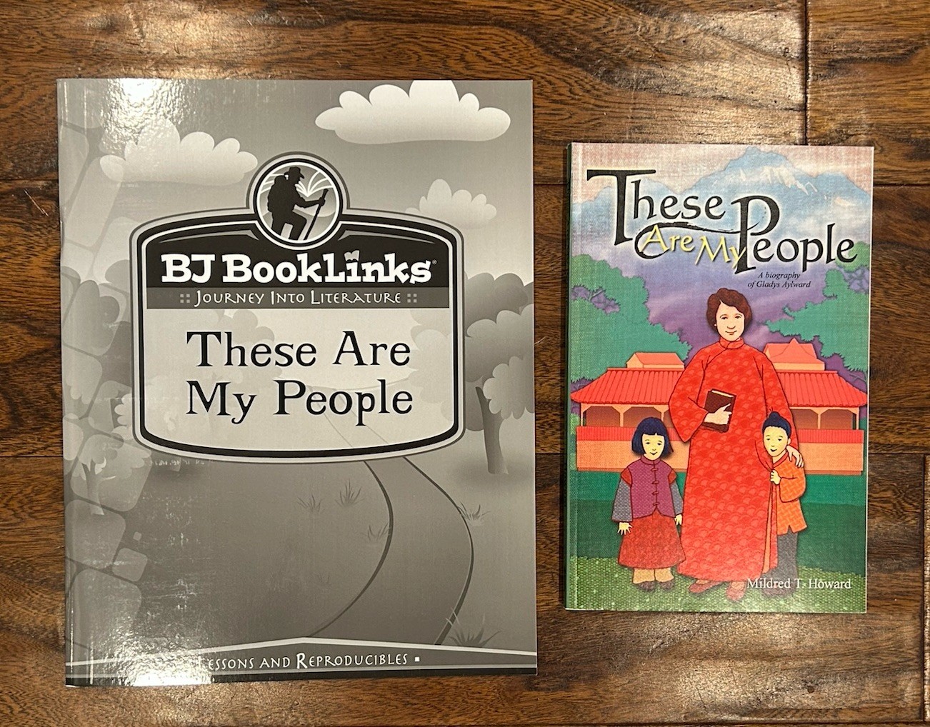 BJU Press Reading BJ Booklinks These Are My People Reading 3 NEW 3rd grade