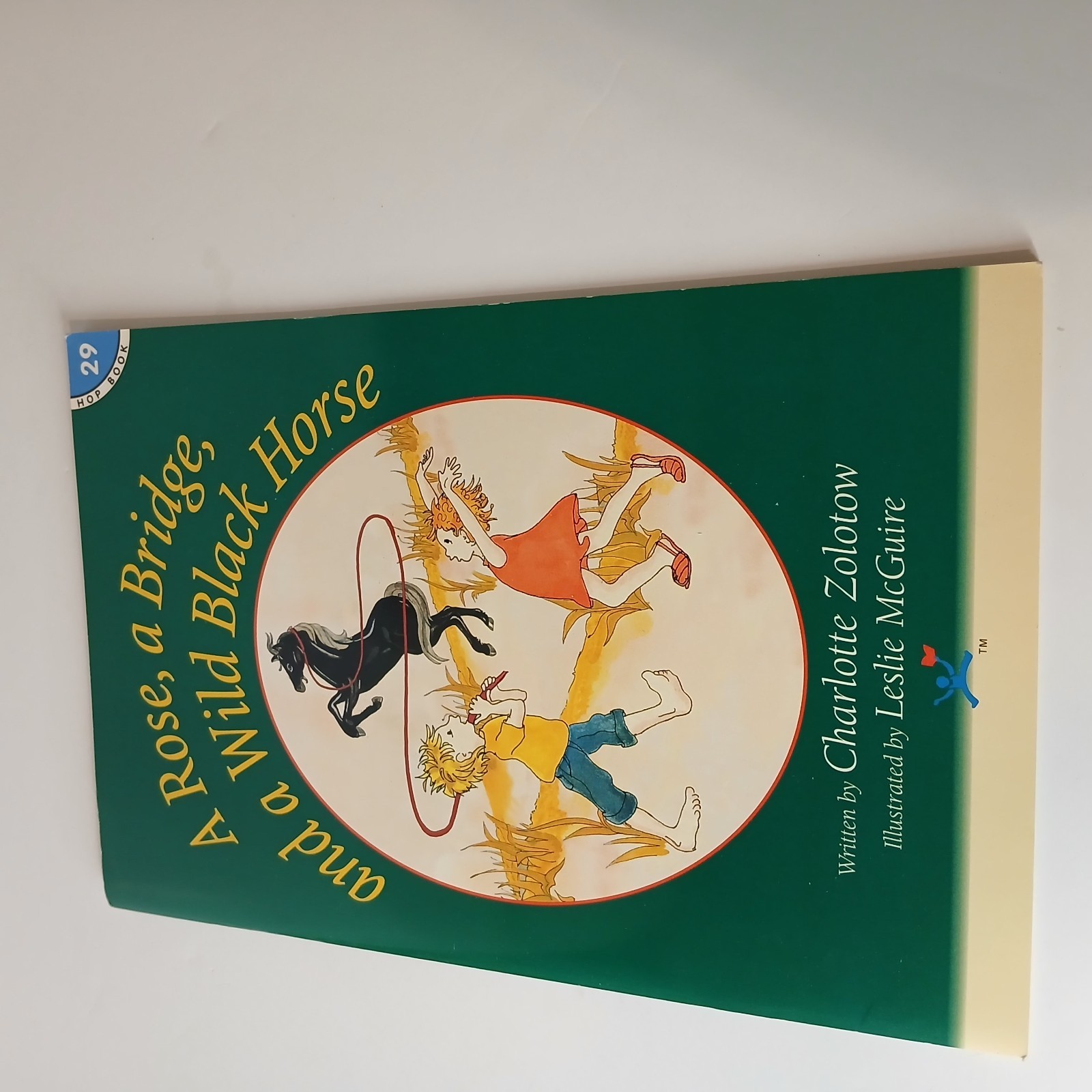 Hooked on Phonics Level 5 Learn to Read Boxed Kit – Incomplete – 1998