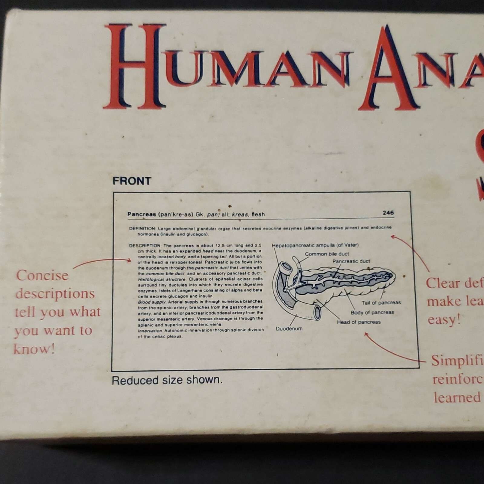 Human Anatomy & Physiology Study Cards Wm. C. Brown Publishers Brigham Young EUC
