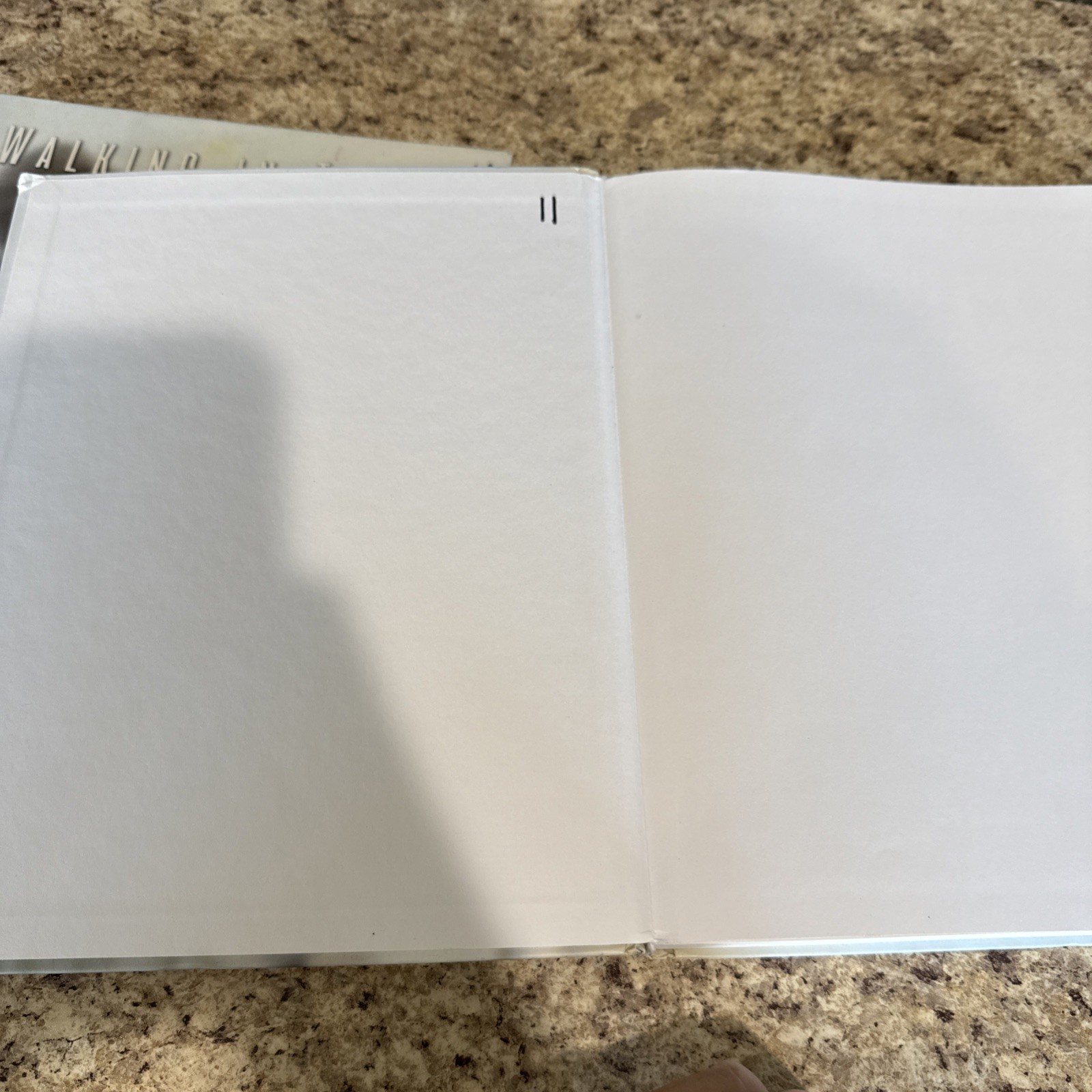 Walking in Truth Grade 7 Textbook : Competing Worldviews HOMESCHOOL + WORKBOOK