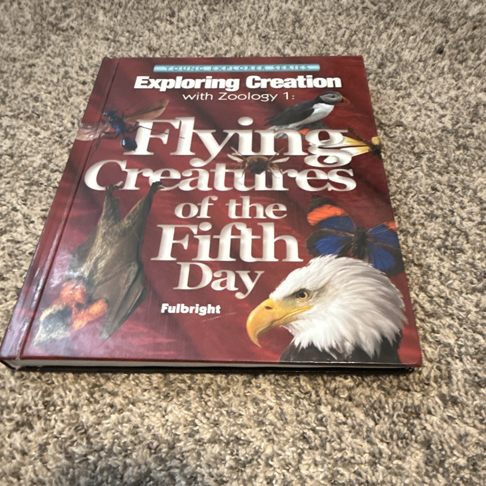Apologia Young Explorer Science Elementary Textbook Bundle Botany Zoology Chem