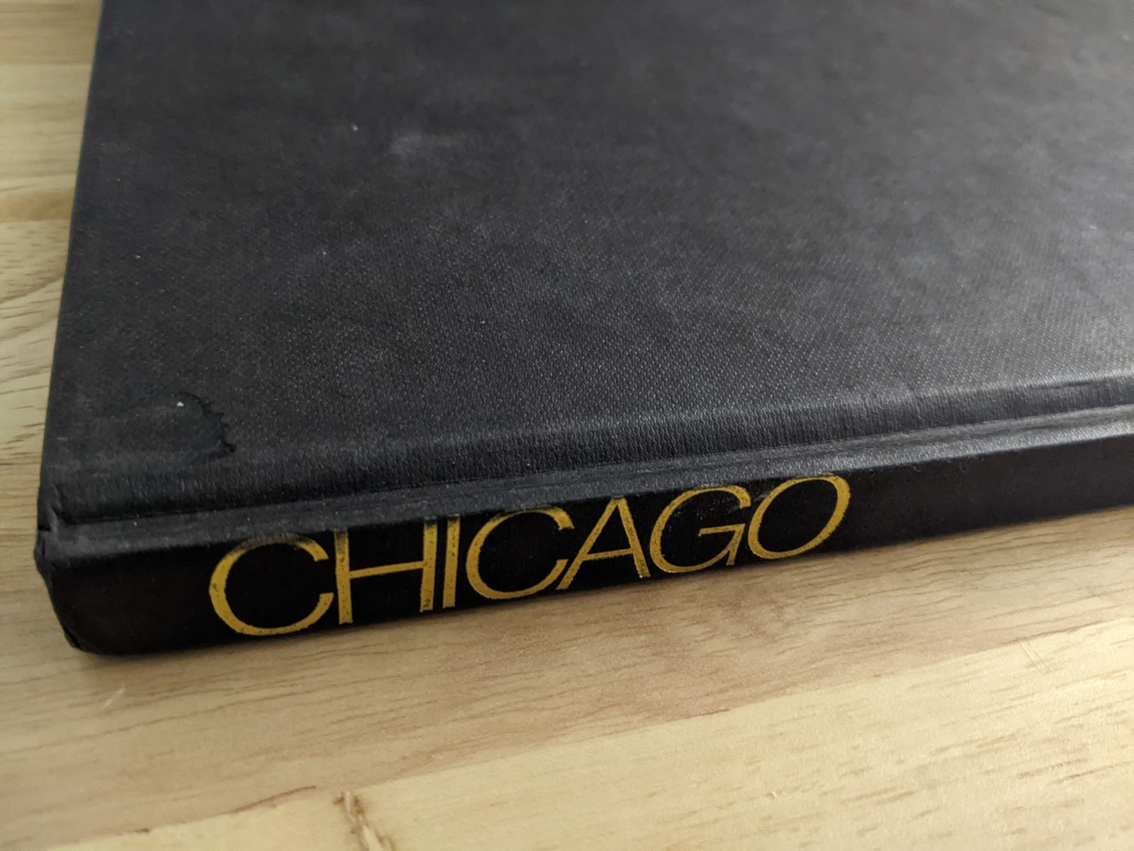 Chicago: Photogaphy by Archie Lieberman/Text by Robert Cromie