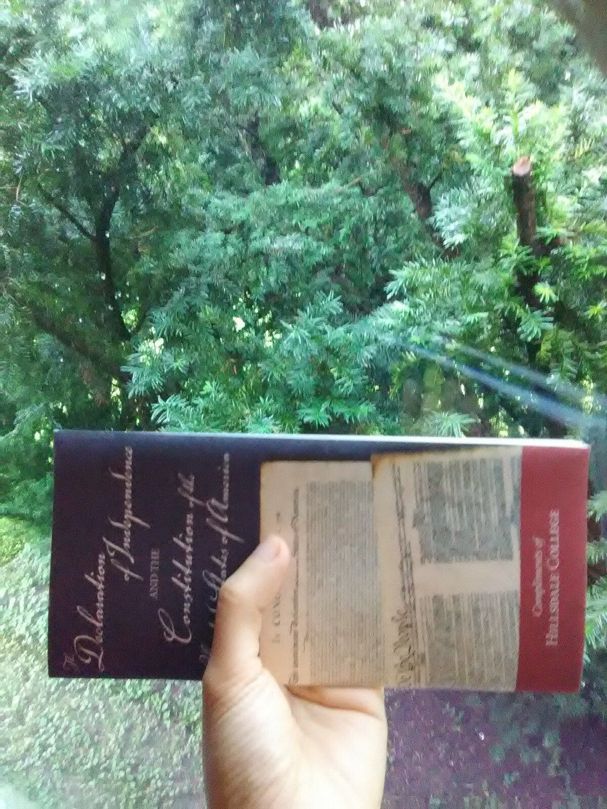 Pocket Constitution «The Declaration of Independence and the Constitution» NEW 