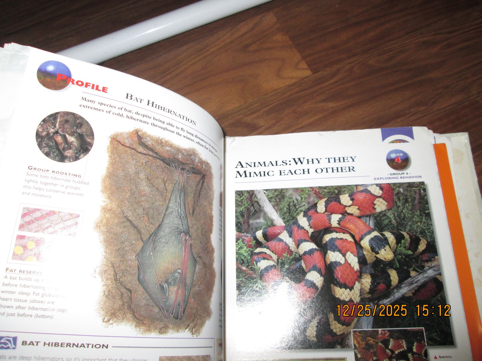 Wildlife Explorer Book Binder