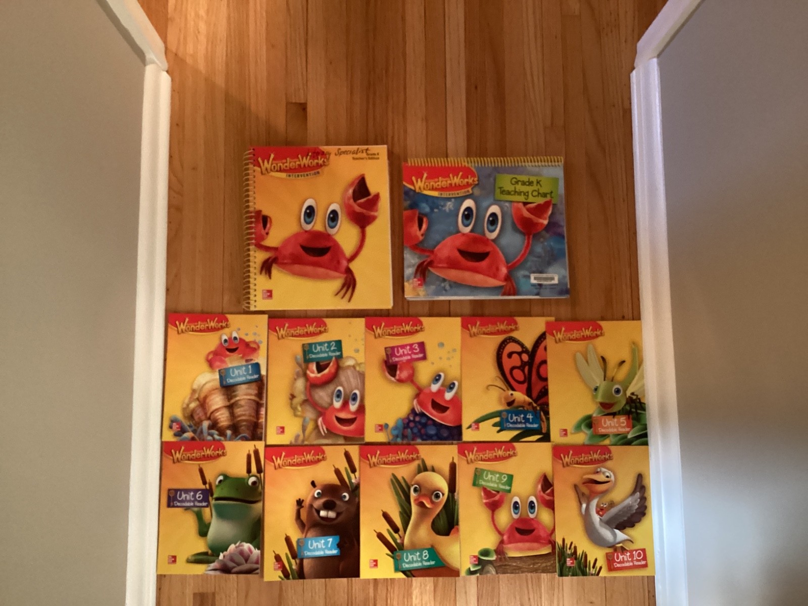 Reading WonderWorks Intervention Grade K Teacher’s Material & Decodable Readers