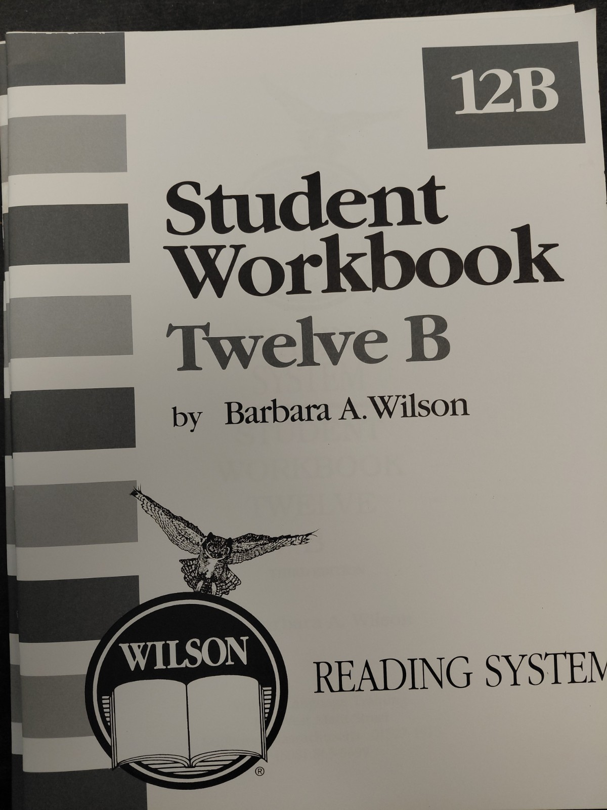 Wilson Reading System Student Workbook Twelve B [Paperback] Barbara A. Wilson
