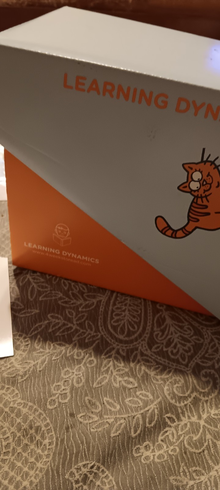 Learning Dynamics Early Literacy 4 Week Reading System