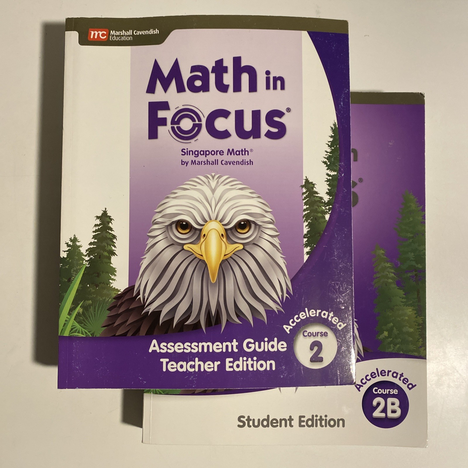 Math in Focus Student Edition Accelerated 2B & Teacher Edition 2, Clean Pages