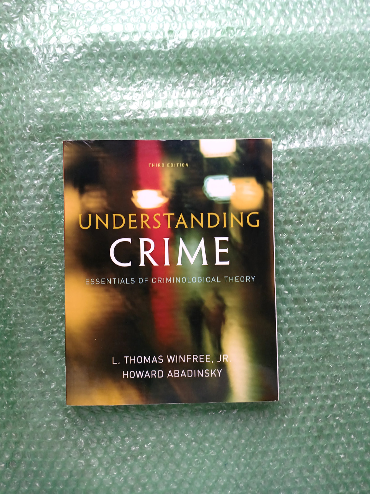 Understanding Crime: Essentials of Criminological Theory