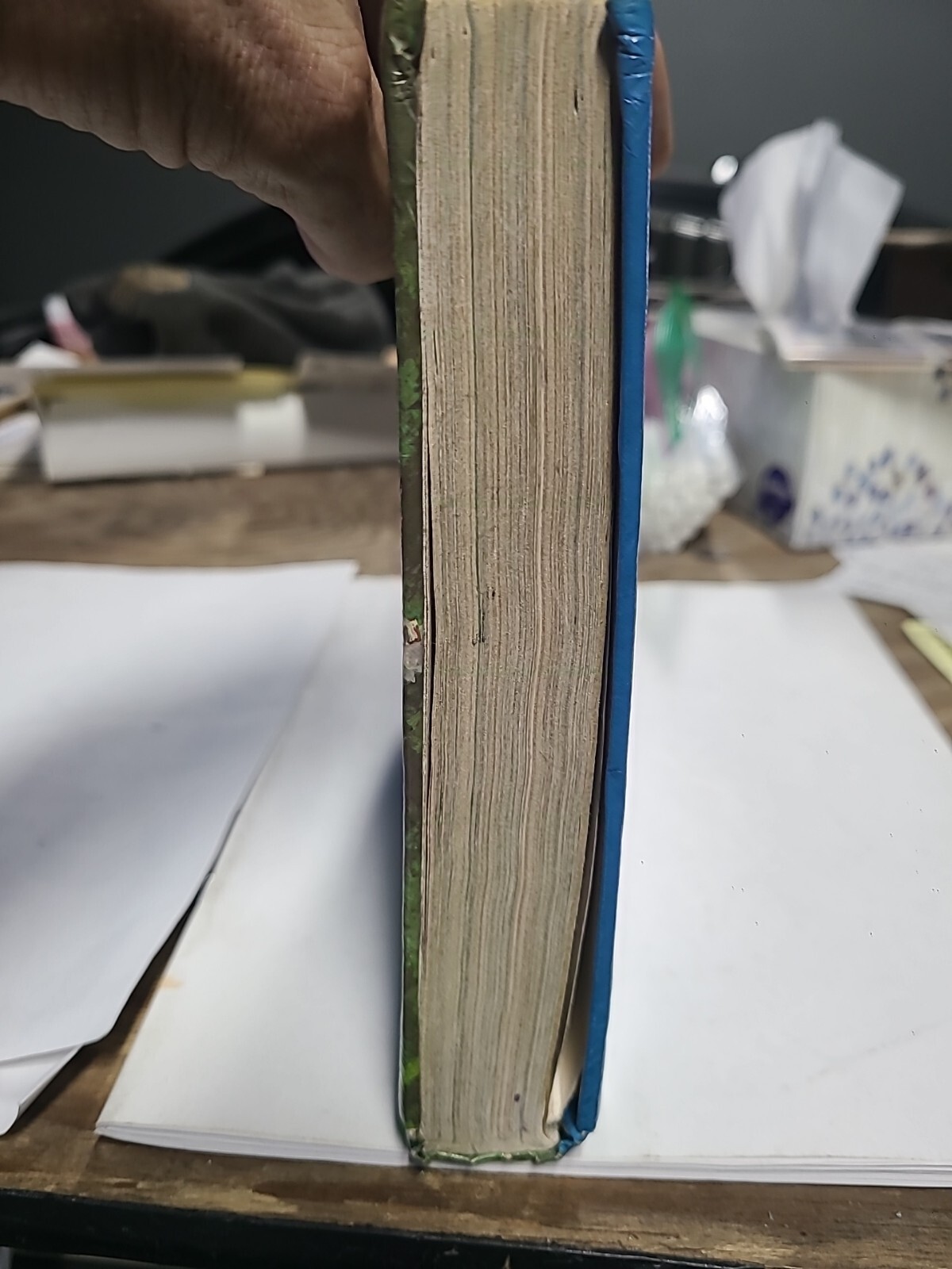 FREEDOM’S GROUND (THE HOLT BASIC READING SYSTEM ; LEVEL By Bernard J Weiss