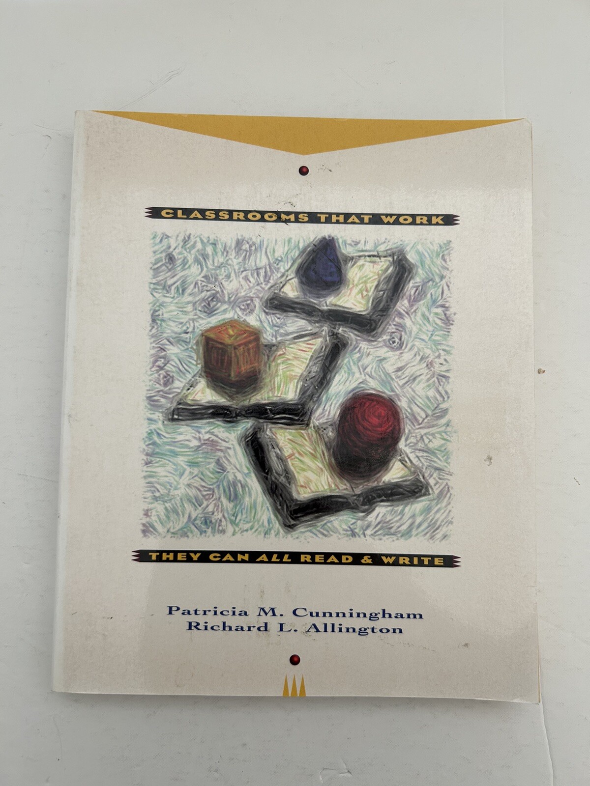 Classrooms That Work: They Can All Read and Write School Vintage 1994 Book