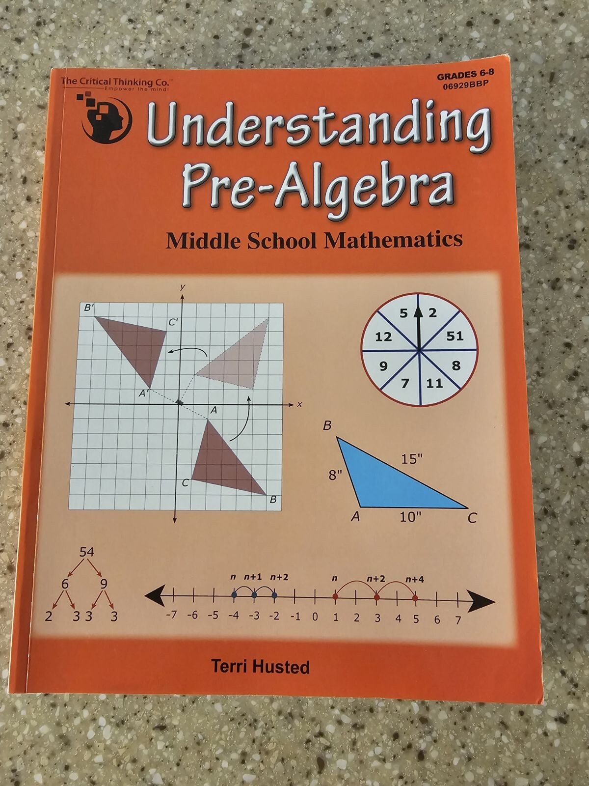 Understanding Pre-Algebra Middle School Mathematics Workbook for 6th-8th Grade