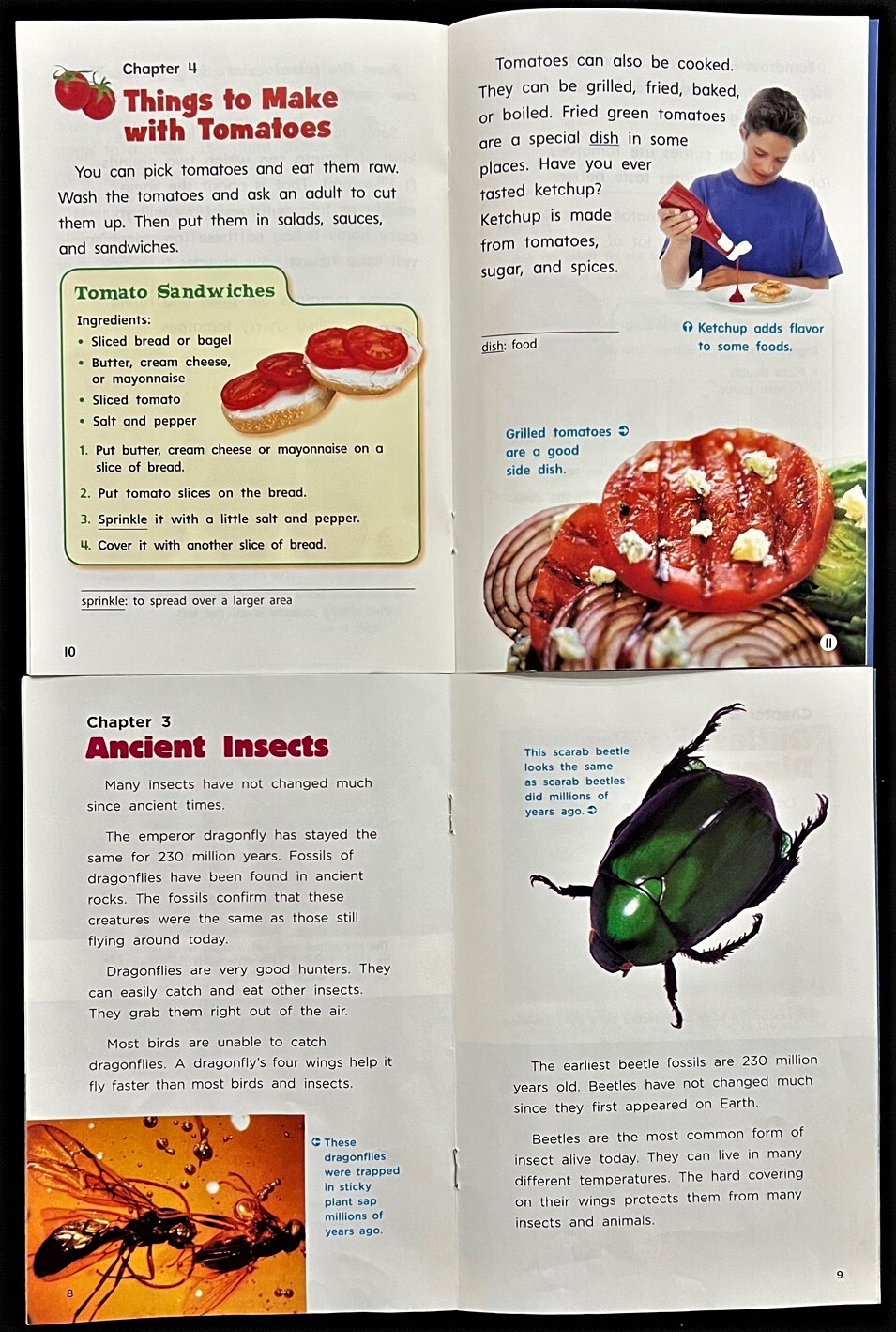 2nd Grade -GENRE LEVELED READER LIBRARY (Info. Nonfiction, Biography) – 22 books