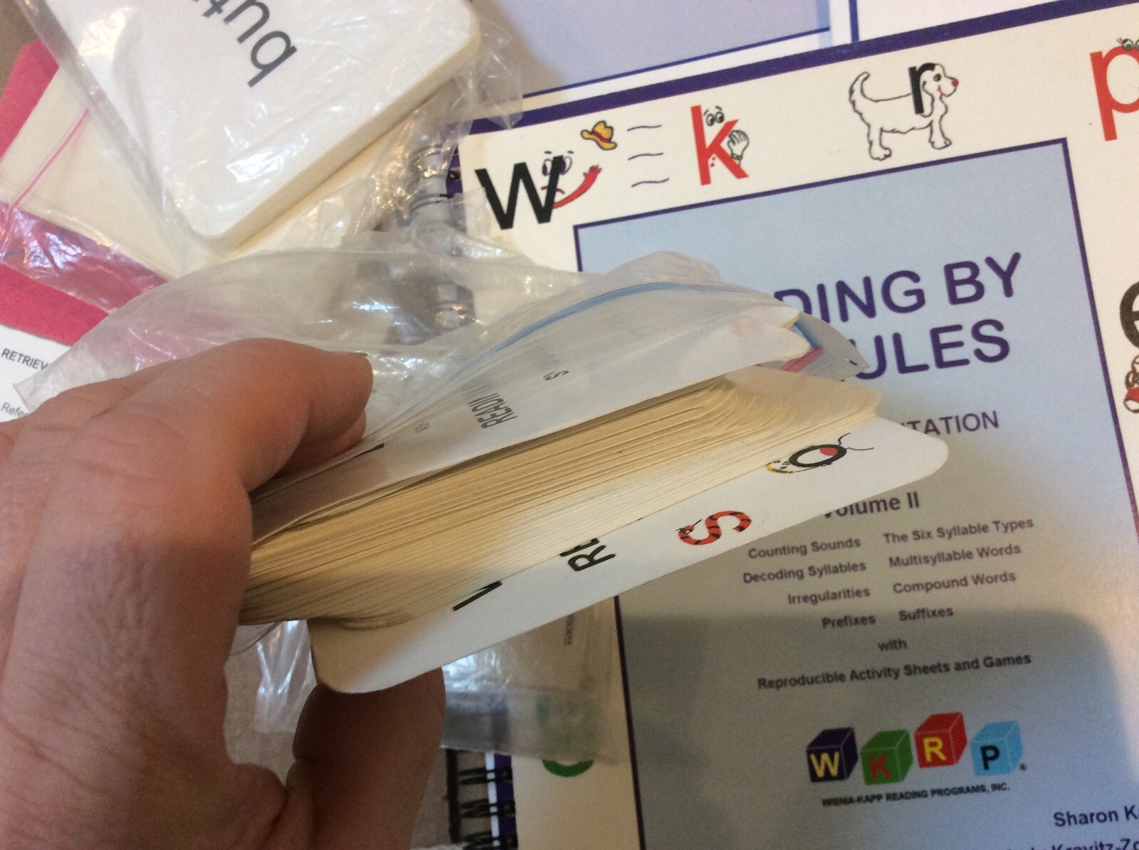Reading by the Rules Sound Segmentation Vol 1/2 and Stories Vol 1-3 and Cards