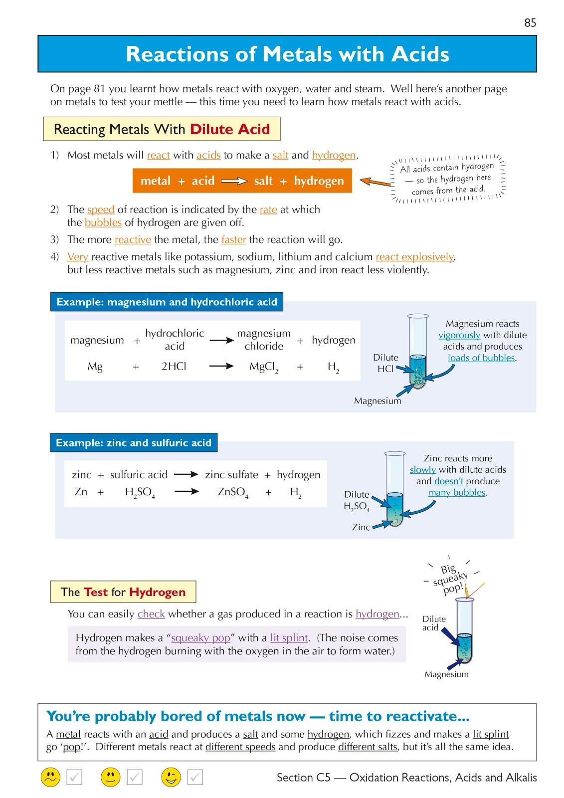 13+ Plus Science Revision Guide For Common Entrance Exam Key Stage 3 Age 11-13