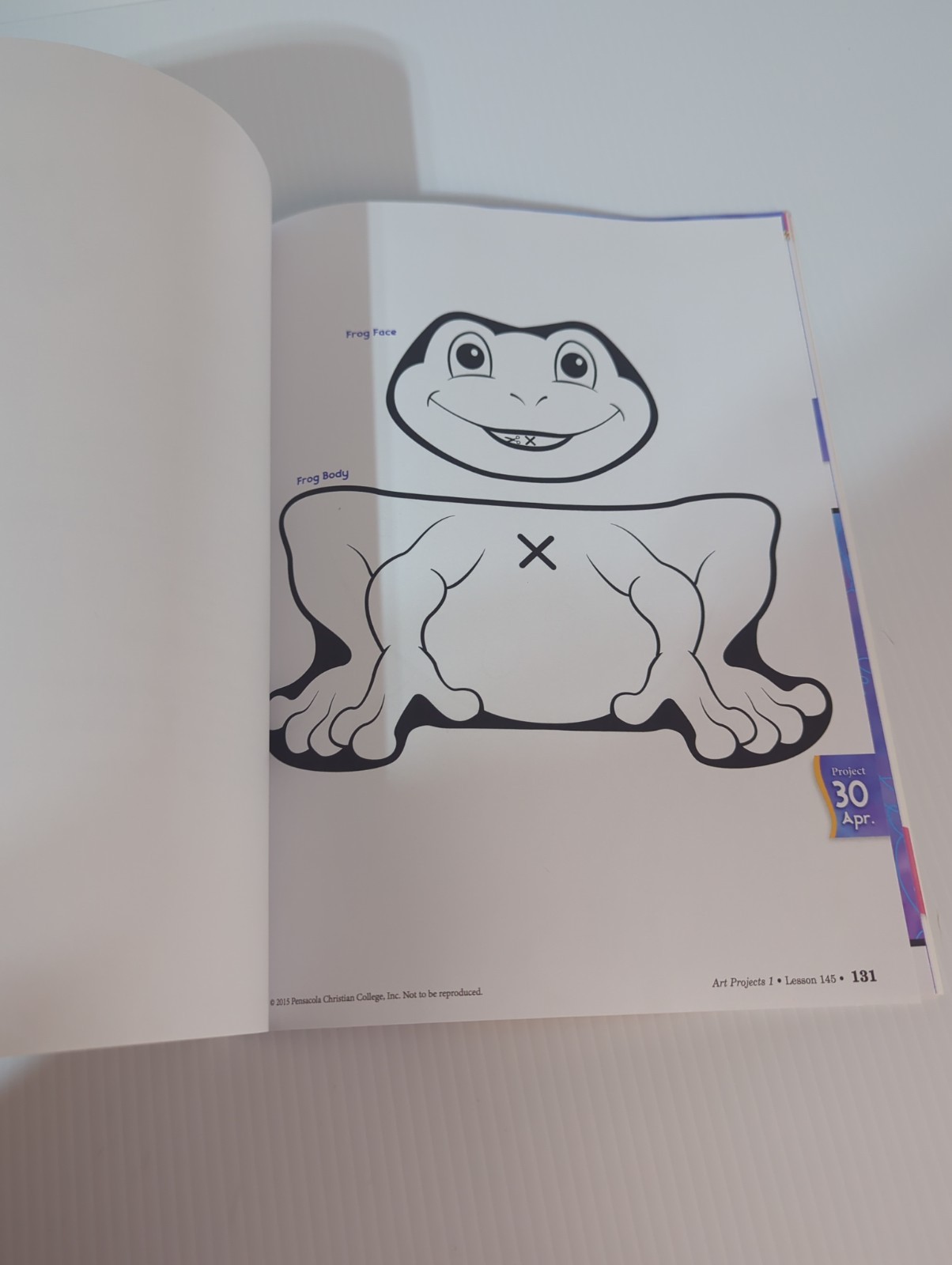 Abeka 1st Grade Art Projects Book, 4th Edition, MISSING PAGES