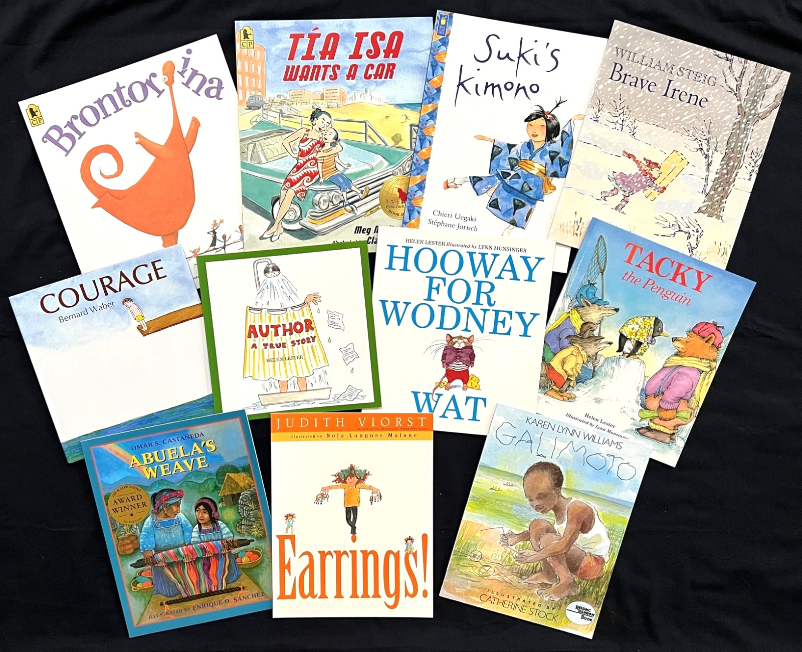 2nd Grade – FOUNTAS & PINNELL – Interactive Read-Aloud (11 books) (Sets 14-17)