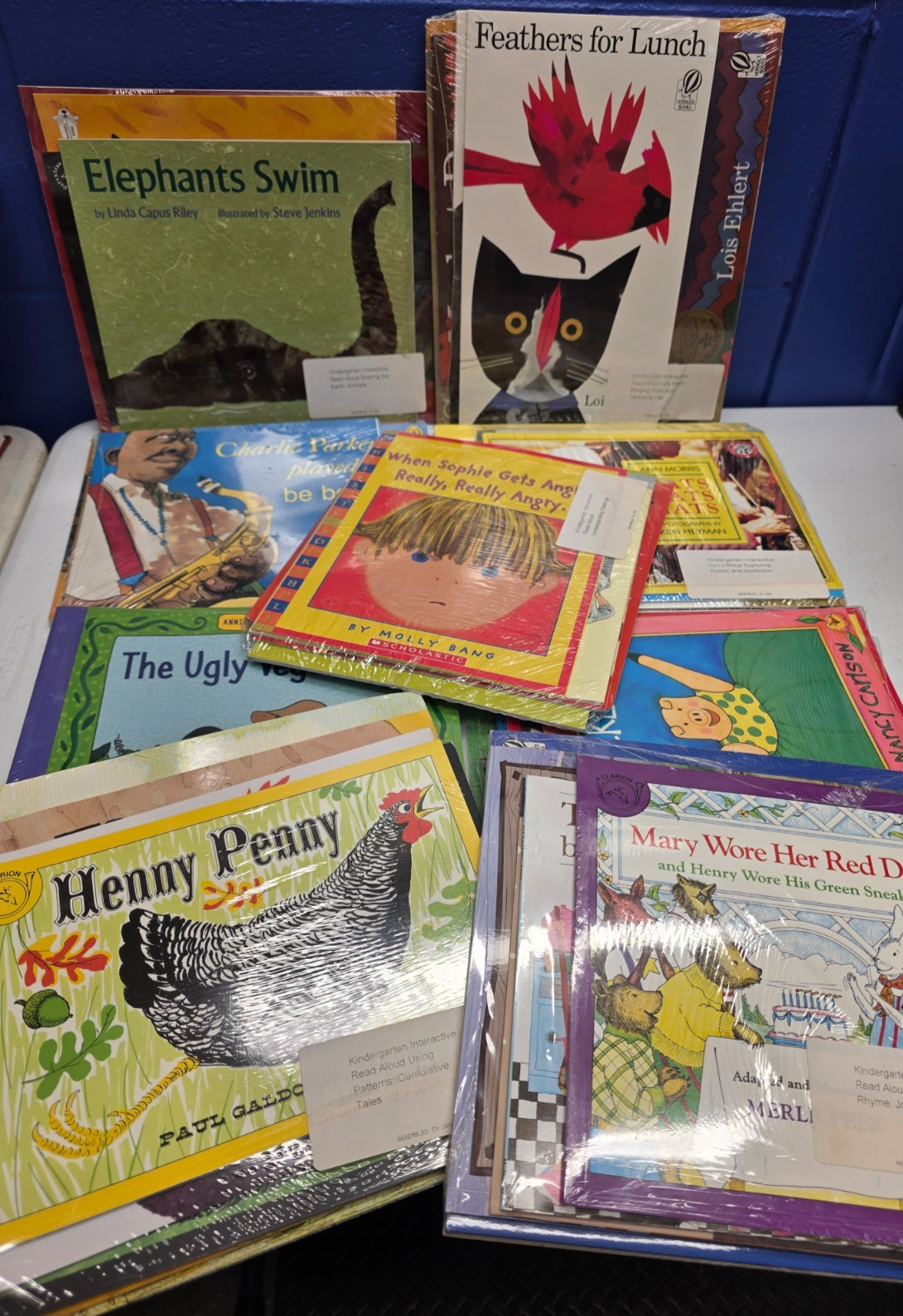 Lot of 44 – Grade K – Fountas & Pinnell – Interactive Read-Aloud Paperback