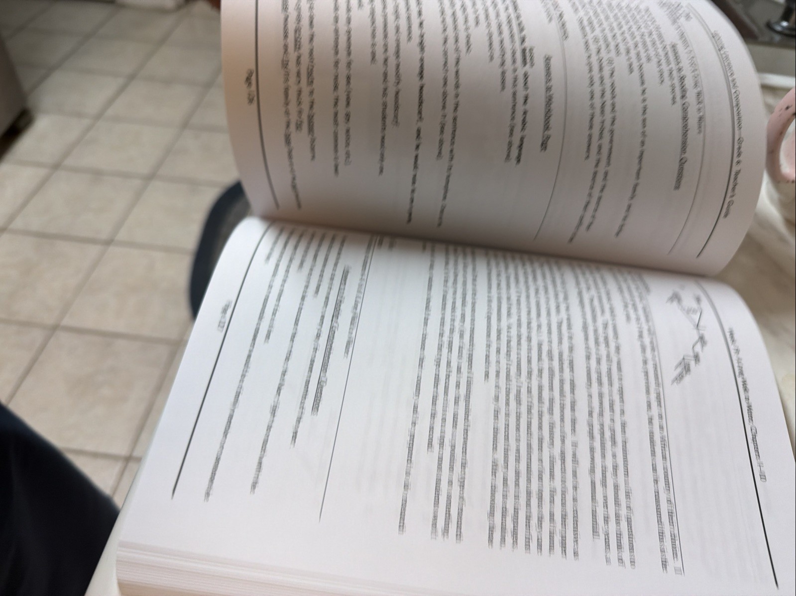 Lightning Literature & Composition Grade 6 Teachers Guide Elizabeth Kamath 2020